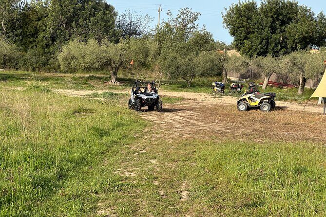 Kids Buggy Experience in Salou - Key Points