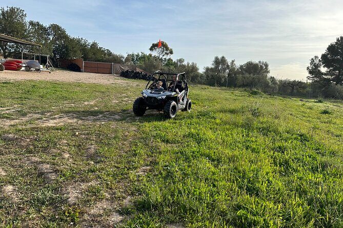 Kids Buggy Experience in Salou - Who Should Consider This Experience?