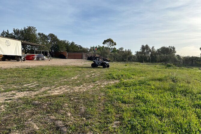 Kids Buggy Experience in Salou - The Sum Up