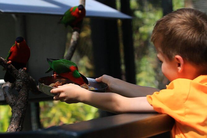 Kids Park Ranger for a Day - Key Points