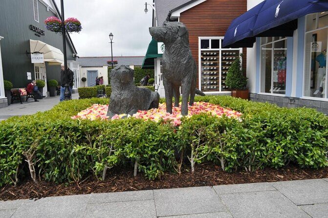 Kildare Village Shopping Trip from Belfast - Who Will Love This Trip?