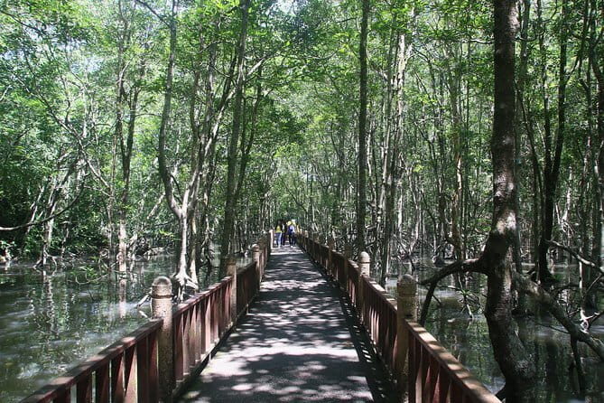 Kilim Geoforest Mangrove Boat Tour (Sharing) - The Sum Up