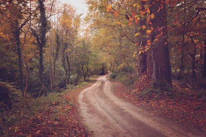 Killarney Luxury: Exclusive National Park Adventure - Frequently Asked Questions