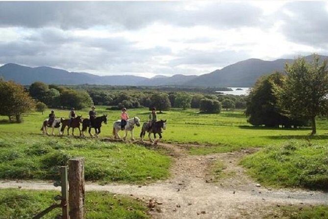Killarney National Park Horseback Ride. Co Kerry. Guided. 1 hour. - Who Should Book This Experience?