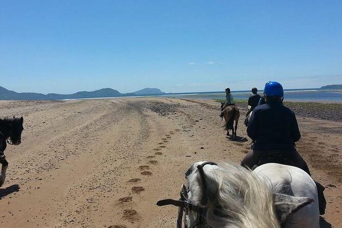 Killarney National Park Horseback Ride. Co Kerry. Guided. 2 hours. - Final Thoughts