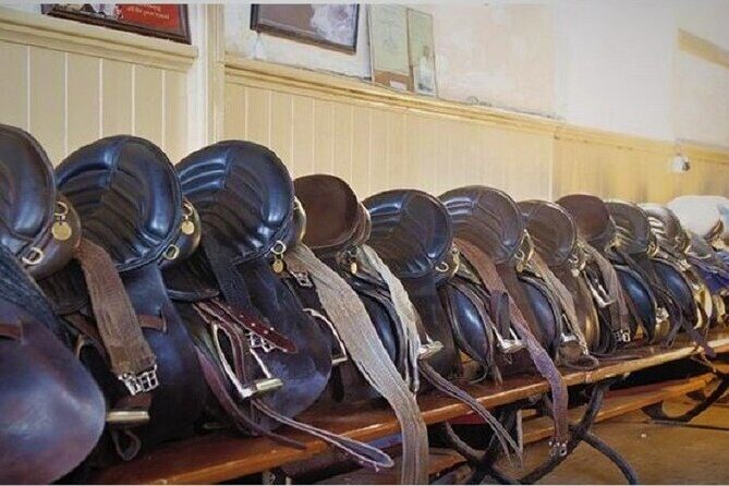 Killarney National Park Horseback Ride. Co Kerry. Guided. 3 hours. - The Itinerary and Setting: What to Expect