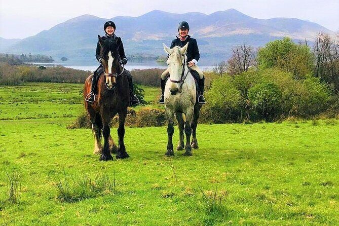 Killarney National Park Horseback Ride. Co Kerry. Guided. 3 hours. - A Closer Look at the Experience