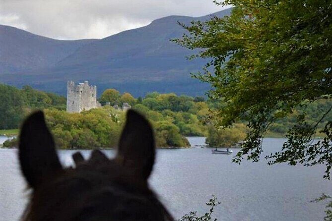 Killarney National Park Horseback Ride. Co Kerry. Guided. 3 hours. - Authentic Insights from Reviews