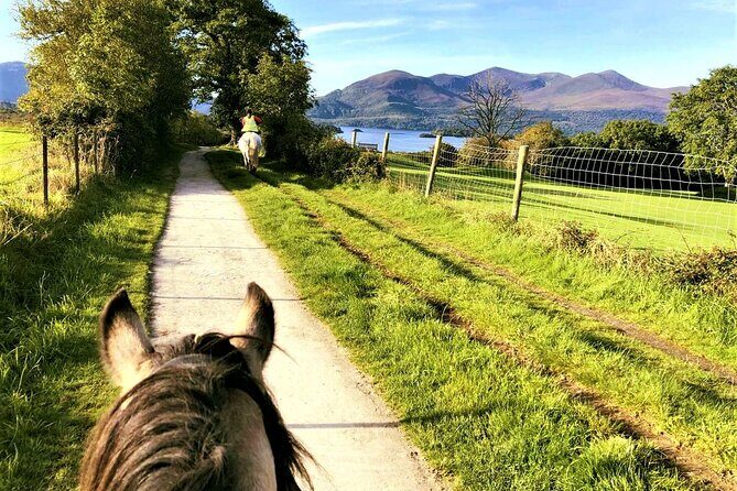 Killarney National Park Horseback Ride. Co Kerry. Guided. 3 hours. - The Sum Up: Who Should Book This Experience?