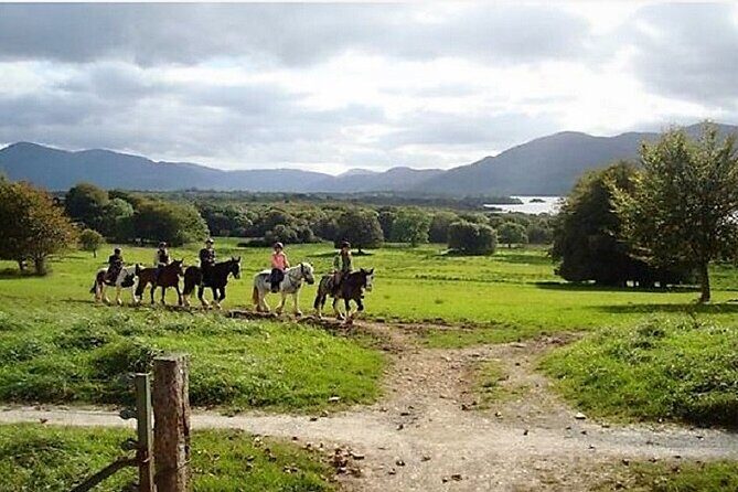 Killarney National Park Horseback Ride. Co Kerry. Guided. 3 hours. - Frequently Asked Questions
