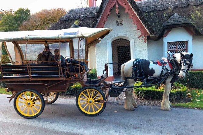 Killarney National Park Tour - The Experience: A Mix of Relaxation and Authenticity