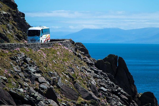 Killarney Super Saver: Dingle and Slea Head Day Trip plus Ring of Kerry and Killarney Lakes Day Trip - Key Points