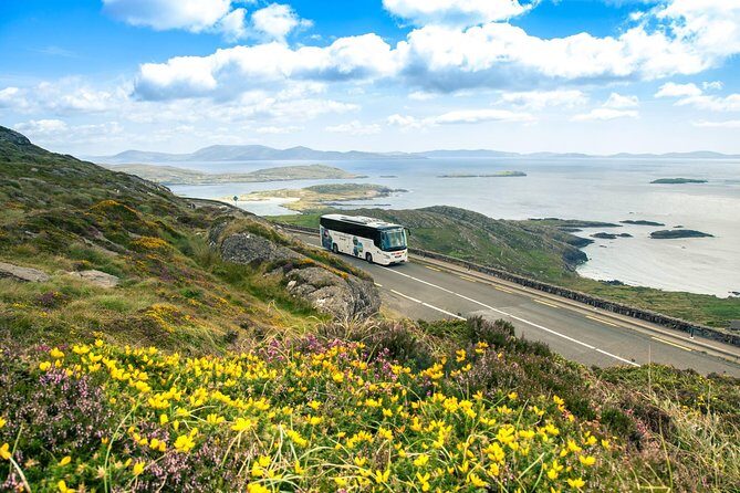 Killarney Super Saver: Dingle and Slea Head Day Trip plus Ring of Kerry and Killarney Lakes Day Trip - Authenticity and Experiences