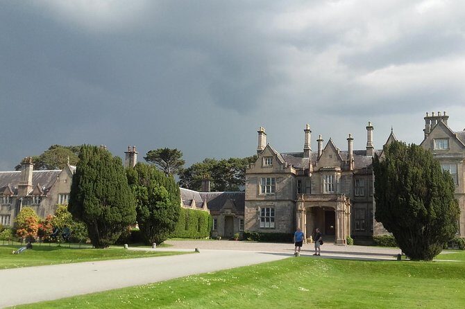 Killarney Valley & National Park - Private Tour - An In-Depth Look at the Tour Experience