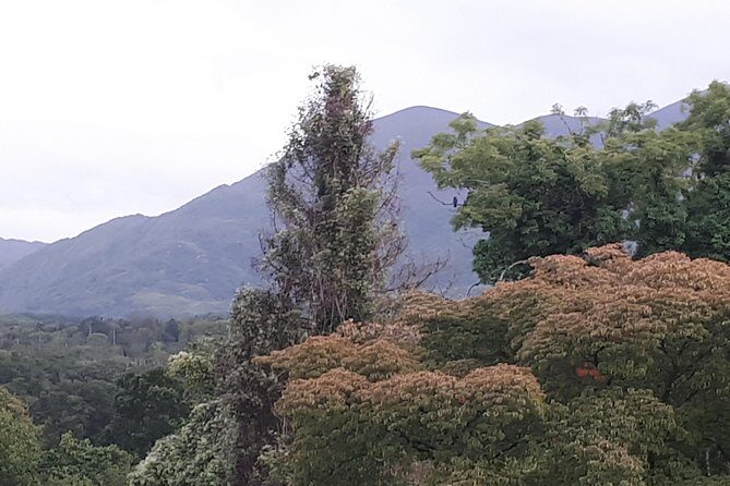 Killarney Valley & National Park - Private Tour - Final Thoughts