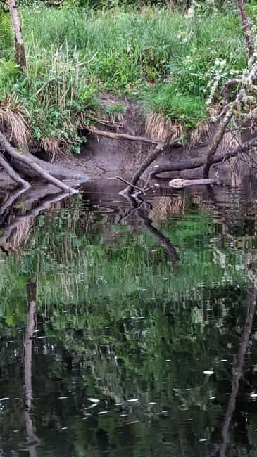 Killin: Loch Tay Beaver Canoe Tour - Final Thoughts