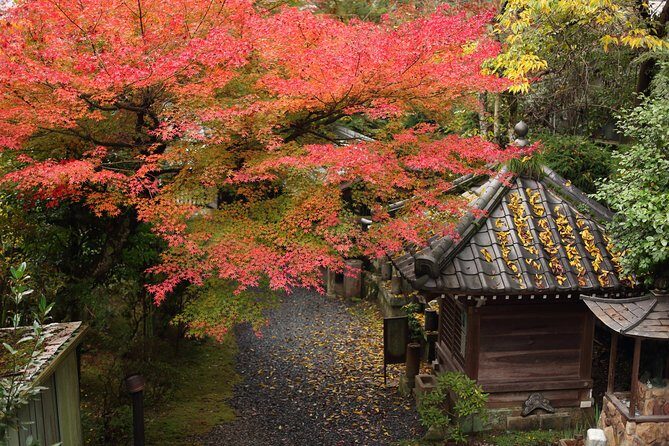 Kimono and Tea Ceremony in Miyajima - Authenticity and Cultural Depth
