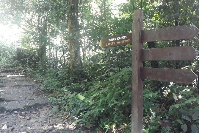Kinabalu Park Day Trip - Practical Details: Logistics and Tips