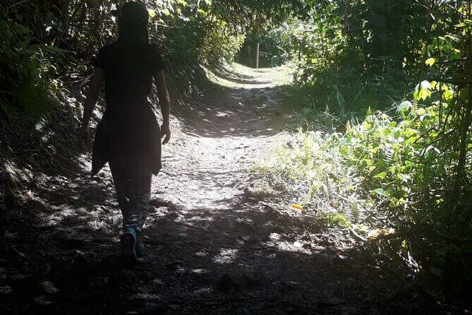 Kinabalu Park Day Trip - FAQs
