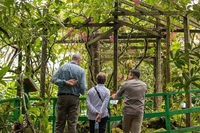 Kinabalu Park, Desa Dairy Farm & Poring Hot Springs Tour - Final Words