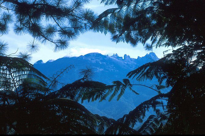 Kinabalu Park & Poring Hot Spring Tour - What Travelers Can Expect