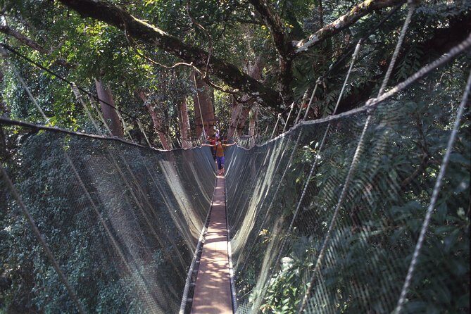 Kinabalu Park & Poring Hot Spring Tour - Who Should Consider This Tour?