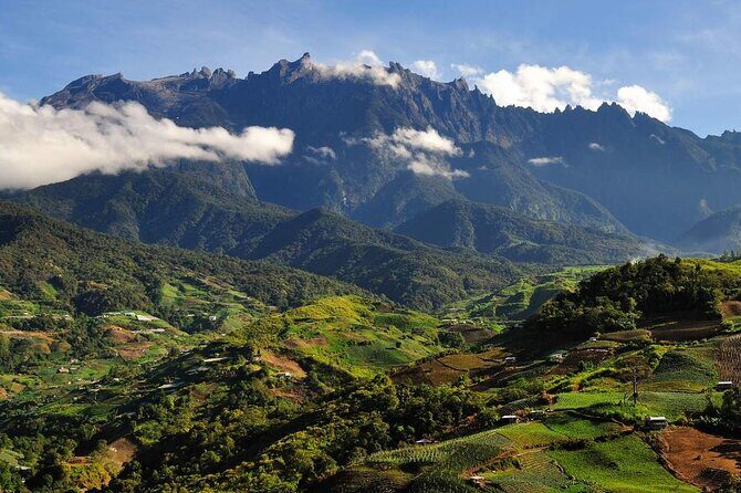 Kinabalu Park & Poring Hot Springs Tour with Desa Dairy Farm - A Detailed Look at the Tour Experience