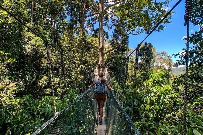 Kinabalu Park & Poring Hot Springs Tour with Desa Dairy Farm - FAQs