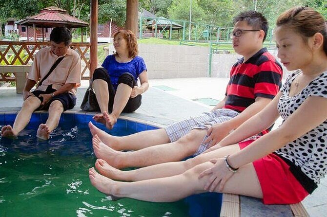 Kinabalu Park Tour with Desa Dairy Farm & Poring Hot Springs - Authentic Insights from Reviews