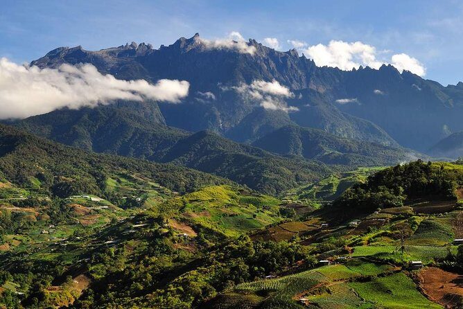 Kinabalu Park Tour with Desa Dairy Farm & Poring Hot Springs - Final Thoughts: Who Will Love This Tour?