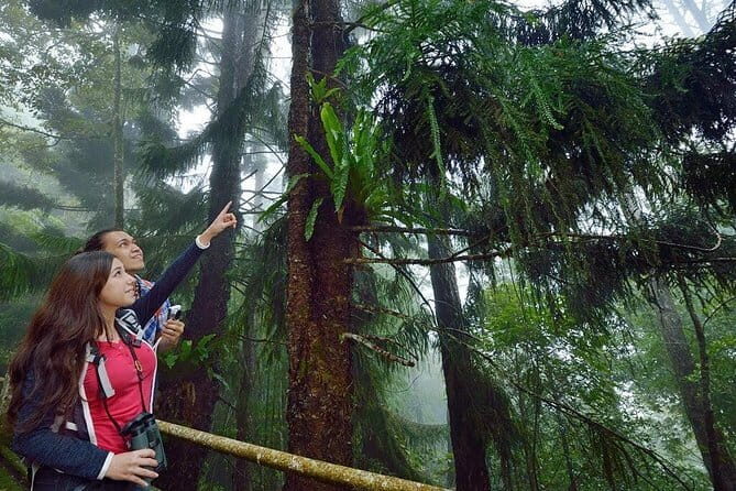 Kinabalu Park Tour With Poring Hot Springs From Kota Kinabalu - Discovering the Best of Kinabalu and Poring: A Practical Tour Review