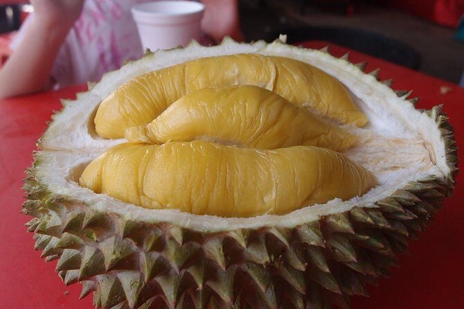 King of Tropical Fruits - Durian Tasting Tour From Kuala Lumpur - Key Points