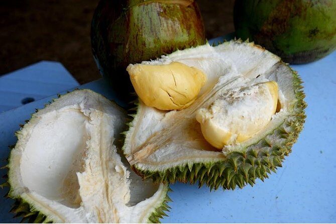 King of Tropical Fruits - Durian Tasting Tour From Kuala Lumpur - Final Thoughts