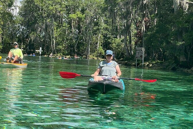 King Spring Sunset Sit on Top Kayak with Manatees Tour - Analyzing the Value