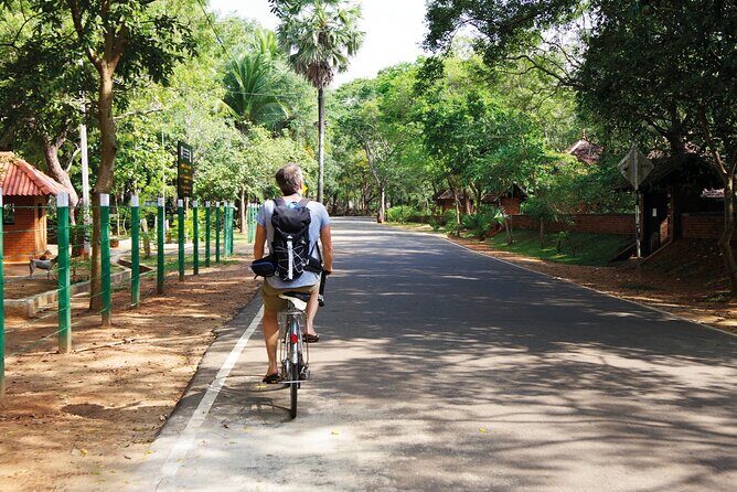 Kingdom Trail Cycling Tour from Colombo - An In-Depth Look at the Kingdom Trail Cycling Tour