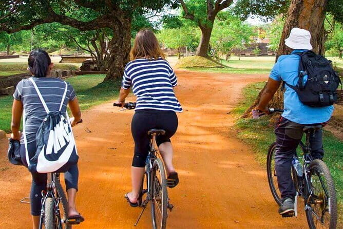 Kingdom Trail Cycling Tour from Mount Lavinia - Why This Tour Offers Real Value