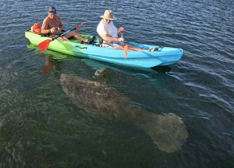 Kings Bay, Crystal River: Gentle Sunrise Manatee Kayak Tour - Final Thoughts
