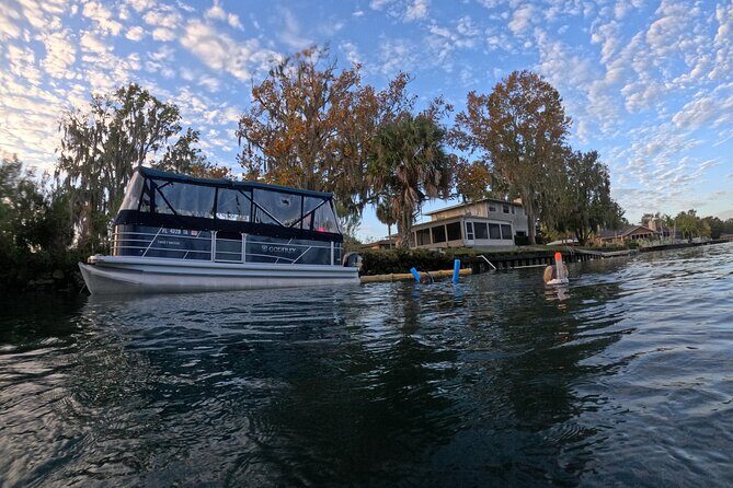 Kings Bay Manatee Watching Cruise - Final Words
