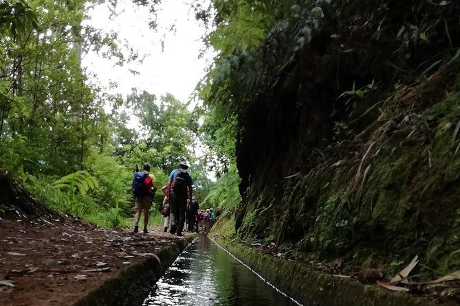 Kings Levada - São Jorge - An In-Depth Look at the Kings Levada Walk