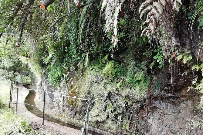 Kings Levada - São Jorge - Who Should Book This Tour?