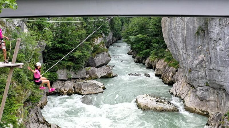 Kingswing "I hob a gschrian" - Pricing and Value