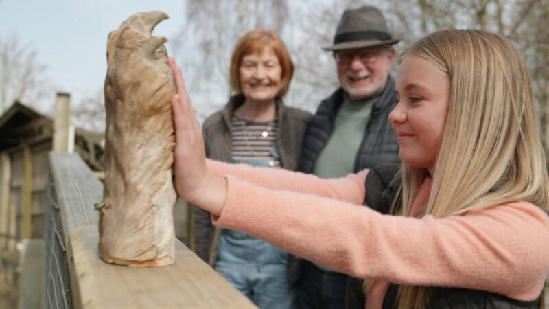 Kingussie: Highland Wildlife Park Entry Ticket - Walking Enclosures and Animal Encounters