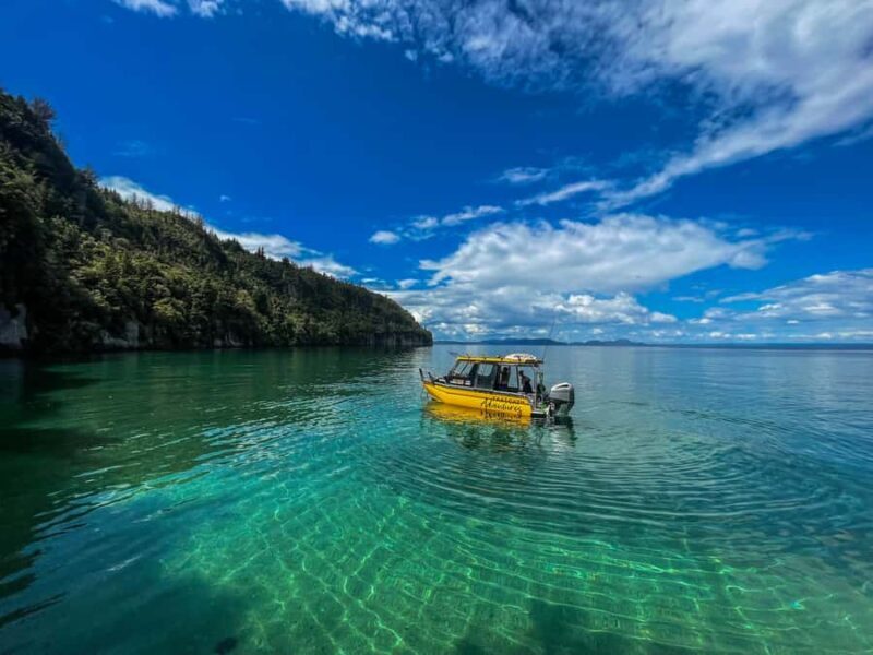 Kinloch: Lake Taupo Catamaran Cruise with Paddleboarding - Why This Tour Offers Good Value