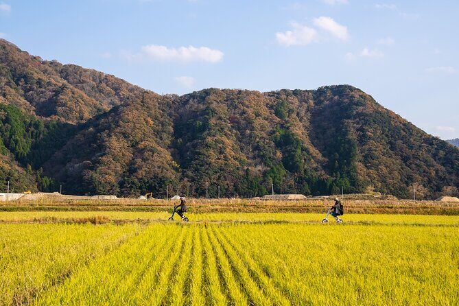 Kinosaki:Rental Electric Vehicles-Natural Treasures route-/120min - A Deep Dive into the Kinosaki Electric Vehicle Tour
