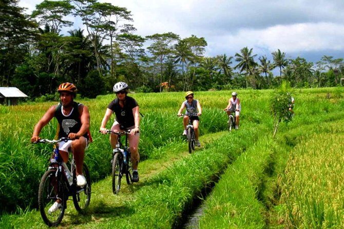 Kintamani Downhill Bike Tour - Who Is This Tour Best For?