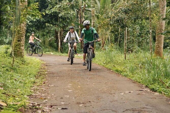 Kintamani to Ubud Downhill Bike Tour with Lunch - Key Points