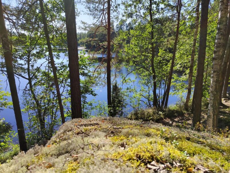 Kintulammi Nature Experience (Nature reserve near Tampere) - FAQ