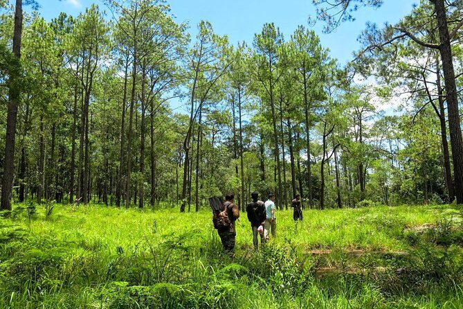 Kirirom National Park Private Day Tour from Phnom Penh - The Experience in Context: Is It Worth It?