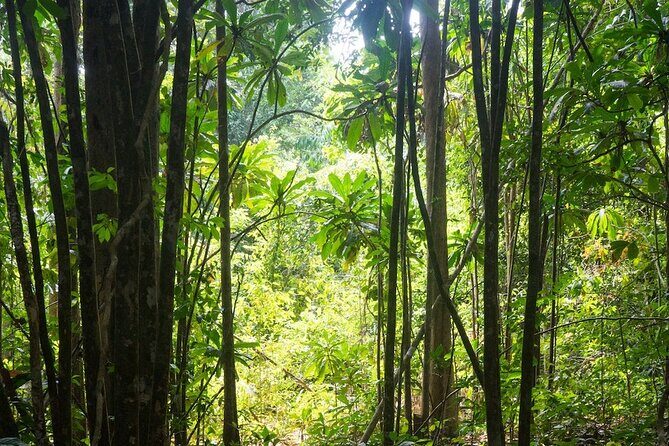 Kirirom National Park Private Day Tour from Phnom Penh - FAQ