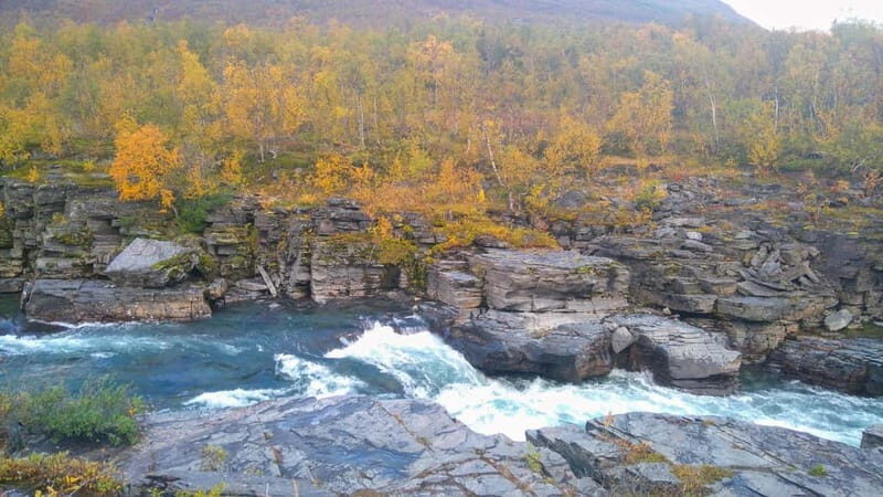 Kiruna: Abisko National Park Guided Day Tour with Lunch - Key Points